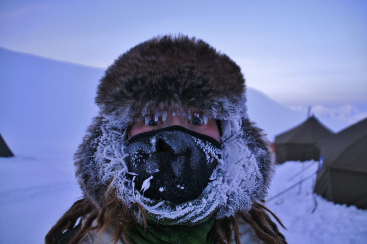 Arctic Nature Guide